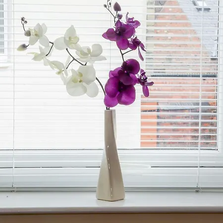 בית נופש 1 Ascot Mews - Of Holiday *